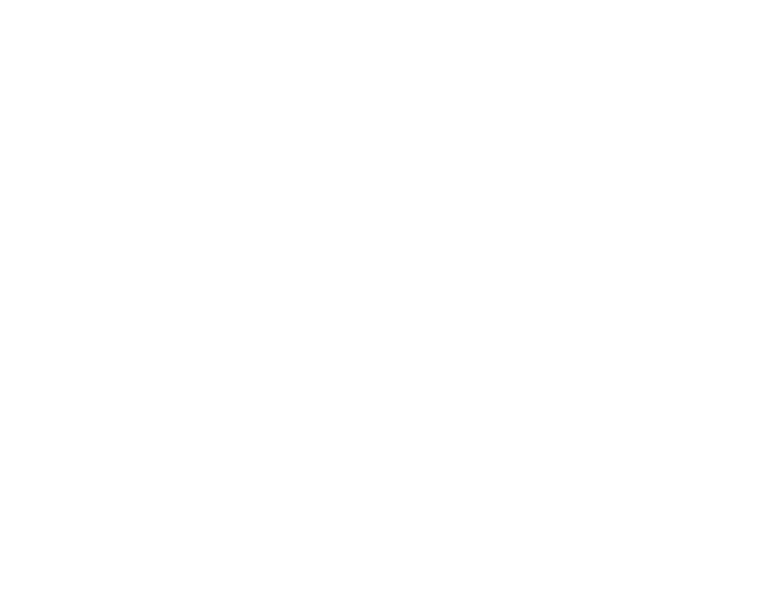 PPS Bailley